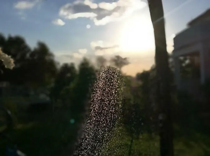 Branko Appartement Zaboric